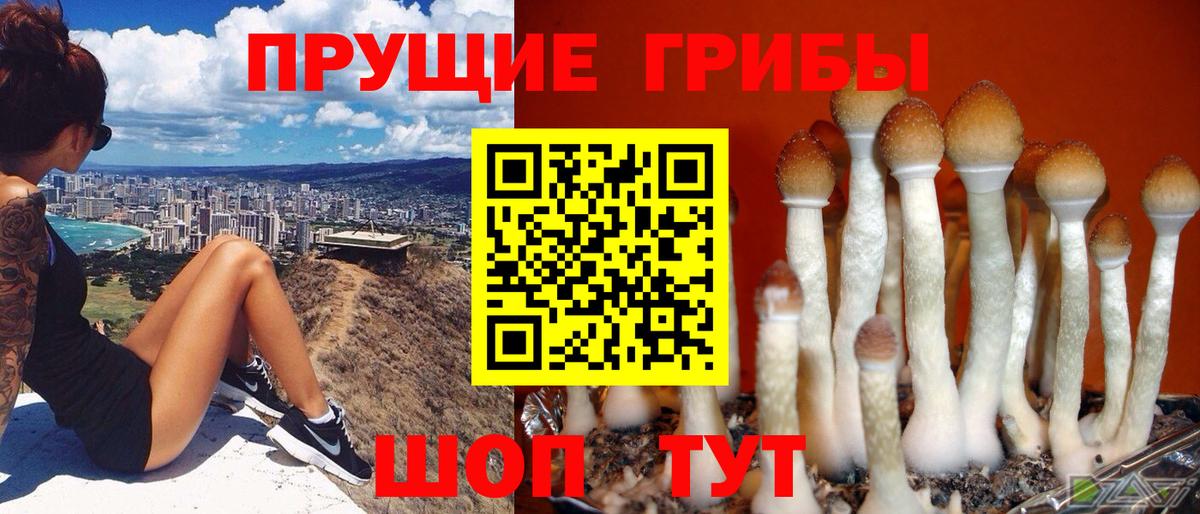 Галлюциногенные грибы Magic Shrooms  Галлюциногенные грибы Psilocybine cubensis  Вход с VPN  Новочебоксарск 